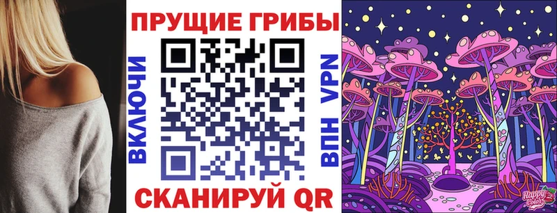 hydra рабочий сайт  Никольское  Галлюциногенные грибы Psilocybine cubensis  цены наркотик 